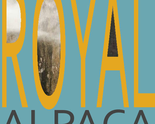 What is ROYAL ALPACA and what is ROYAL ALPACA fashion?